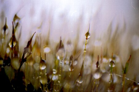 Free stock photo from Flickr
