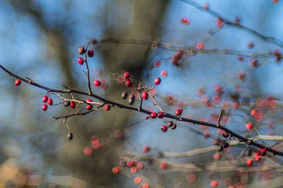 Free stock photo from Flickr