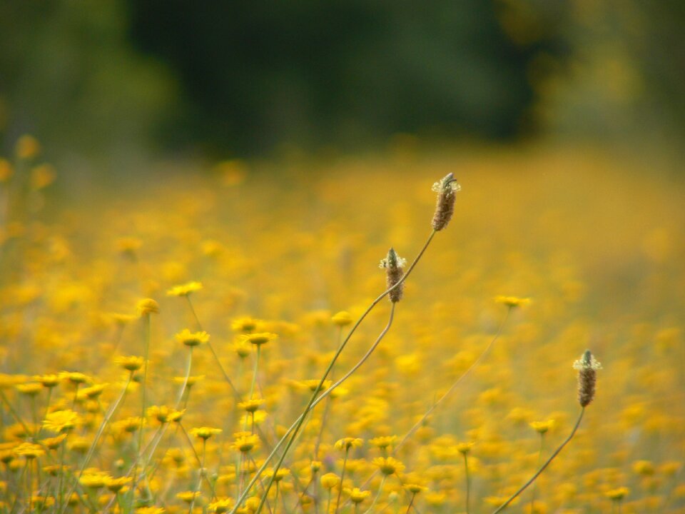 Free stock photo from Flickr
