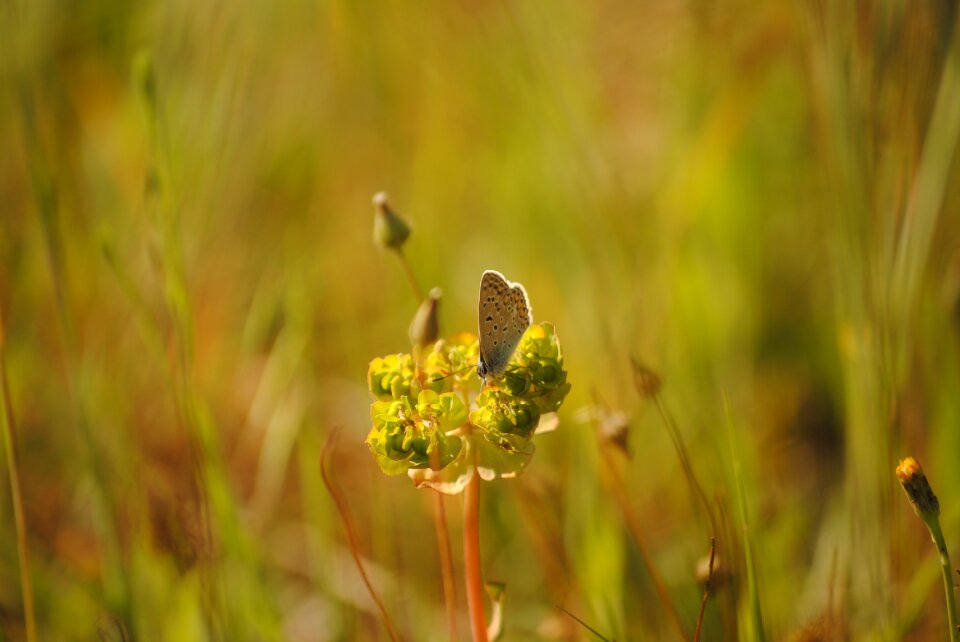 Free stock photo from Flickr