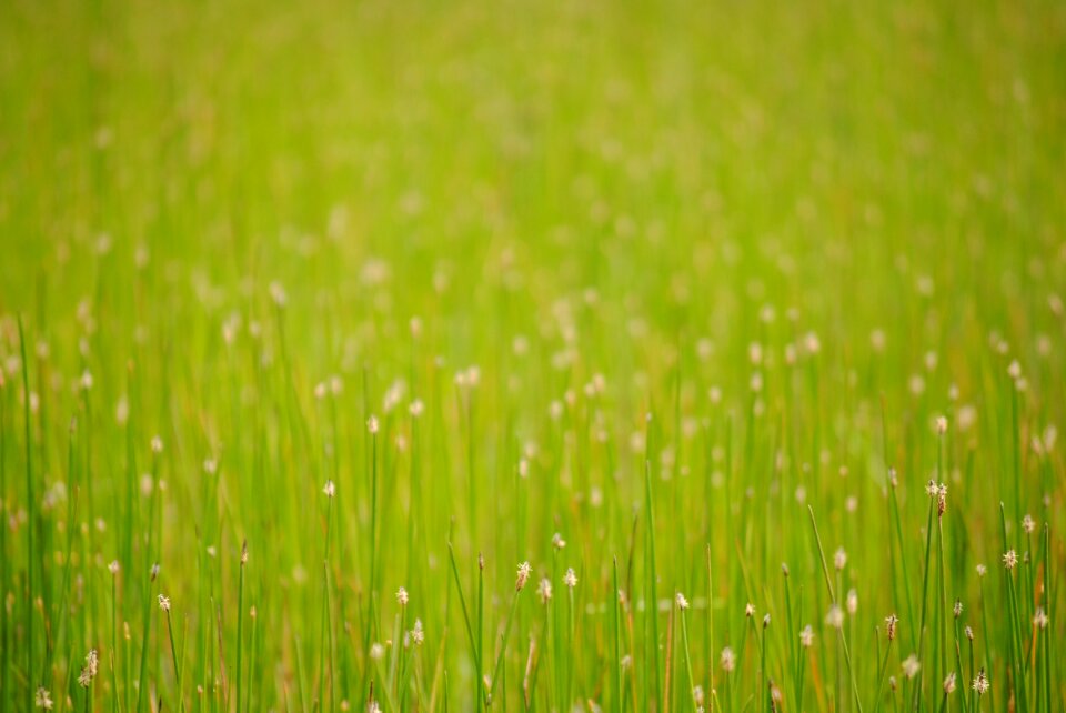 Free stock photo from Flickr