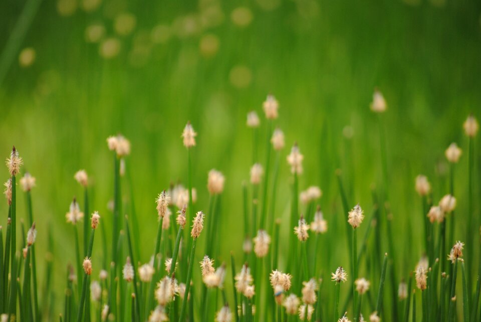 Free stock photo from Flickr