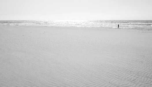 Free stock photo from Flickr