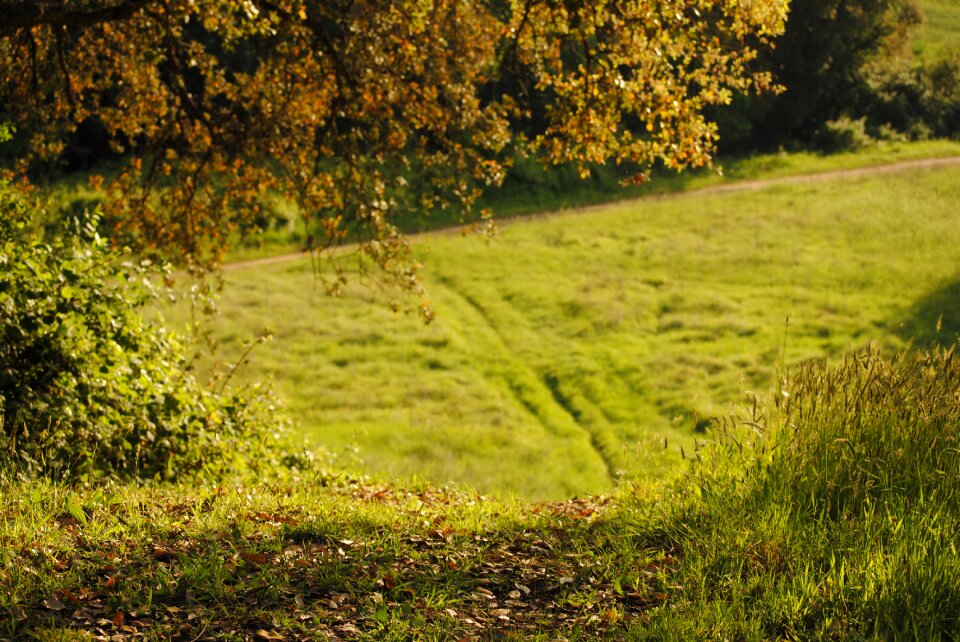 Free stock photo from Flickr