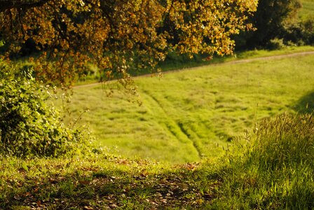 Free stock photo from Flickr
