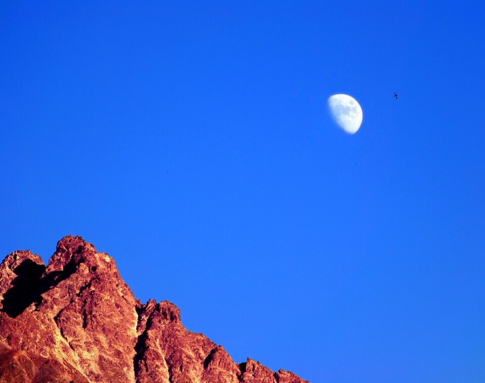 Free stock photo from Flickr