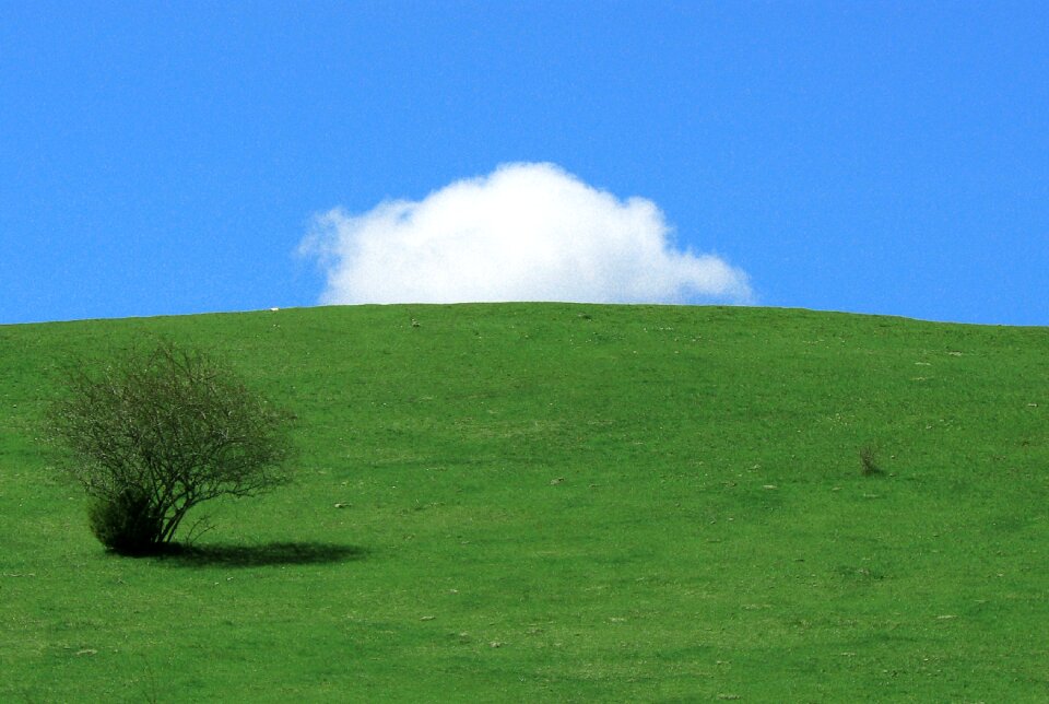 Free stock photo from Flickr