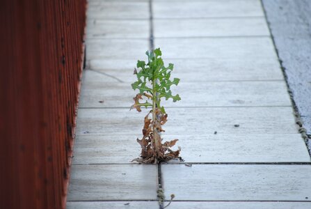 Free stock photo from Flickr