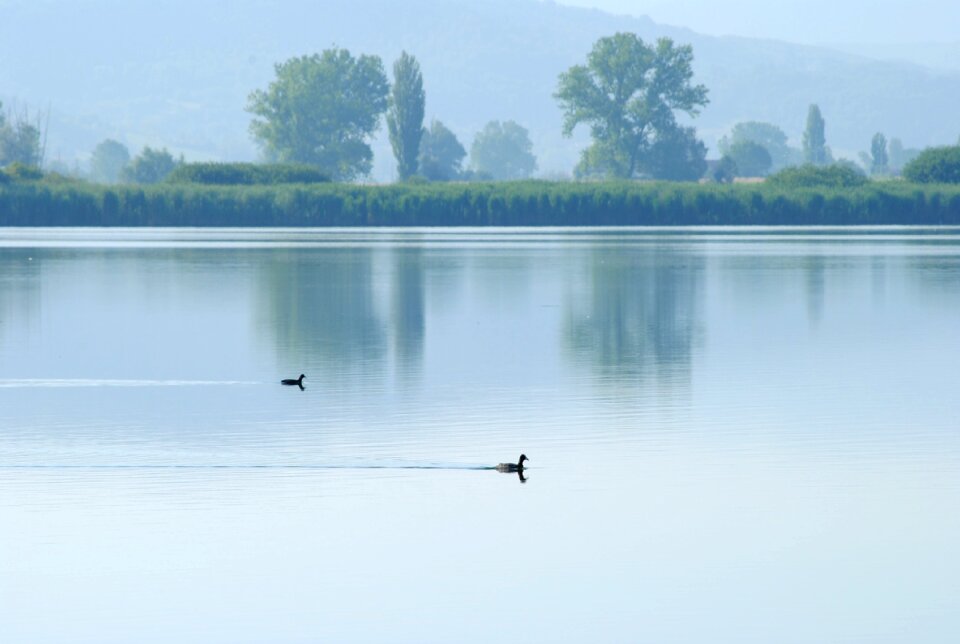 Free stock photo from Flickr