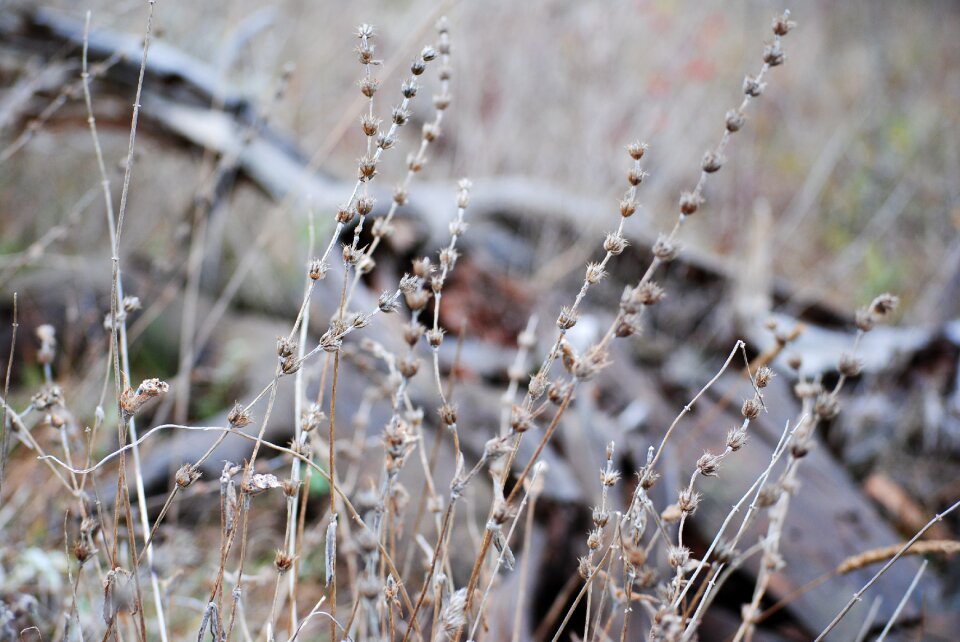 Free stock photo from Flickr