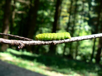 Free stock photo from Flickr
