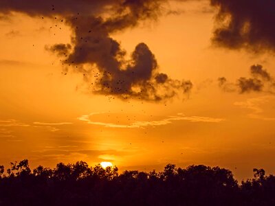 Free stock photo from Flickr
