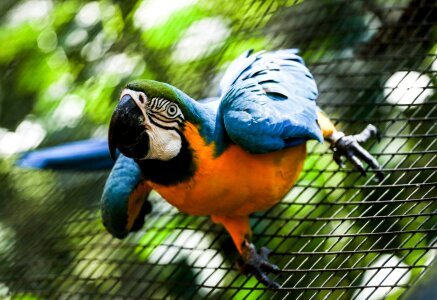 Free stock photo from Flickr