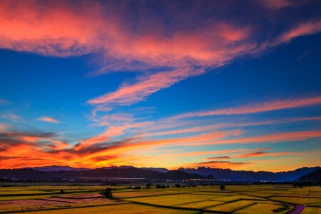 Free stock photo from Flickr