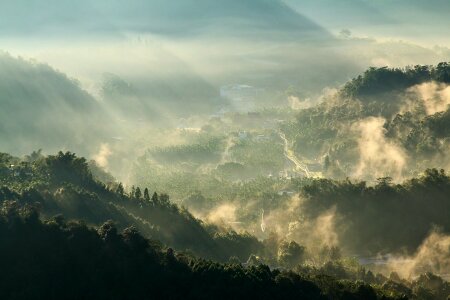 Free stock photo from Flickr