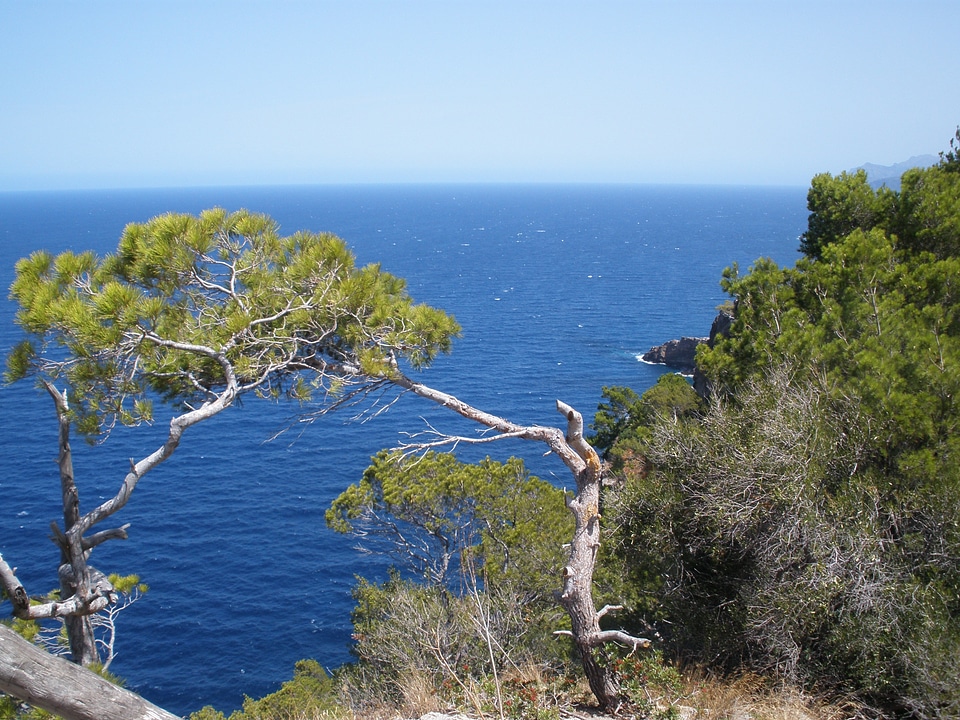 Mediterranean mallorca sierra tramuntana photo