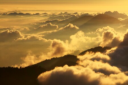 Free stock photo from Flickr