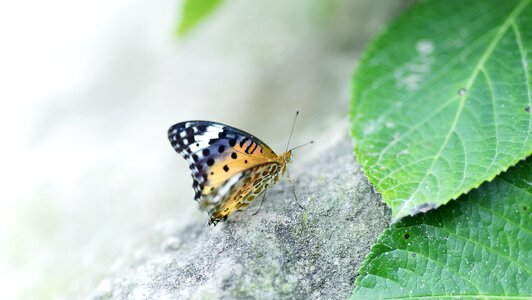Free stock photo from Flickr
