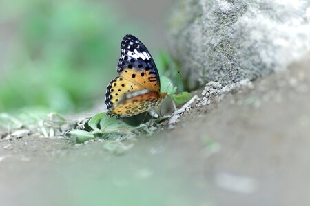 Free stock photo from Flickr