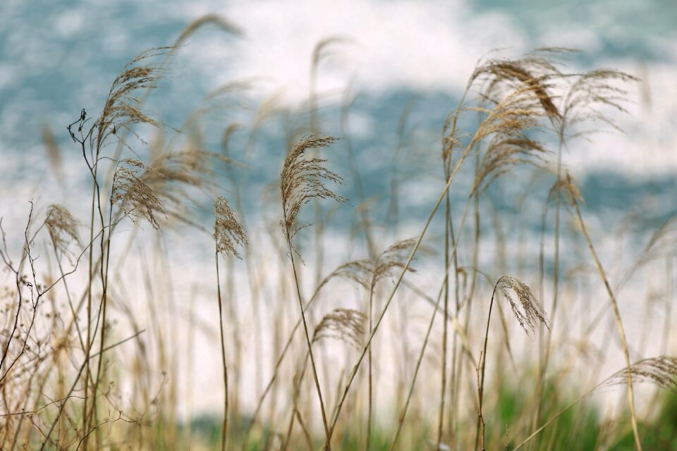 Free stock photo from Flickr