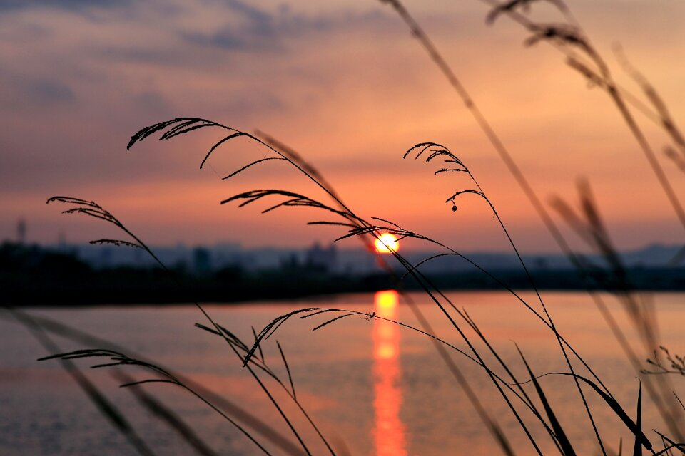 Free stock photo from Flickr