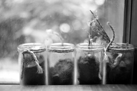 Free stock photo from Flickr