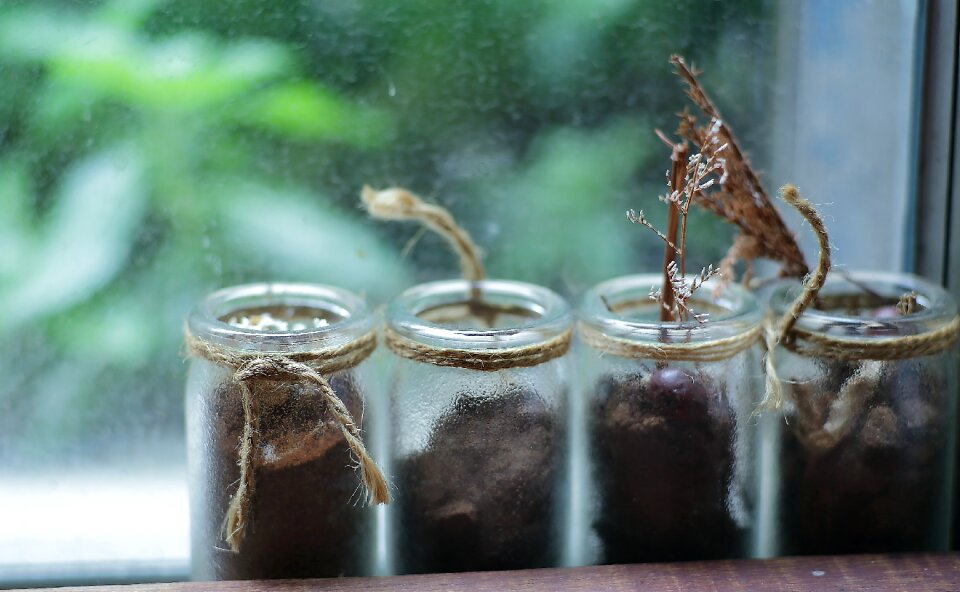 Free stock photo from Flickr