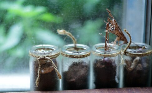 Free stock photo from Flickr