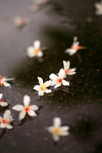 Free stock photo from Flickr