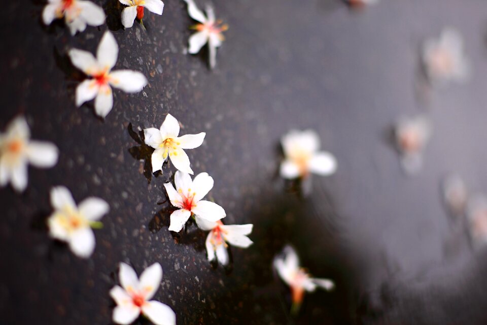 Free stock photo from Flickr