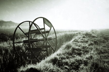 Free stock photo from Flickr