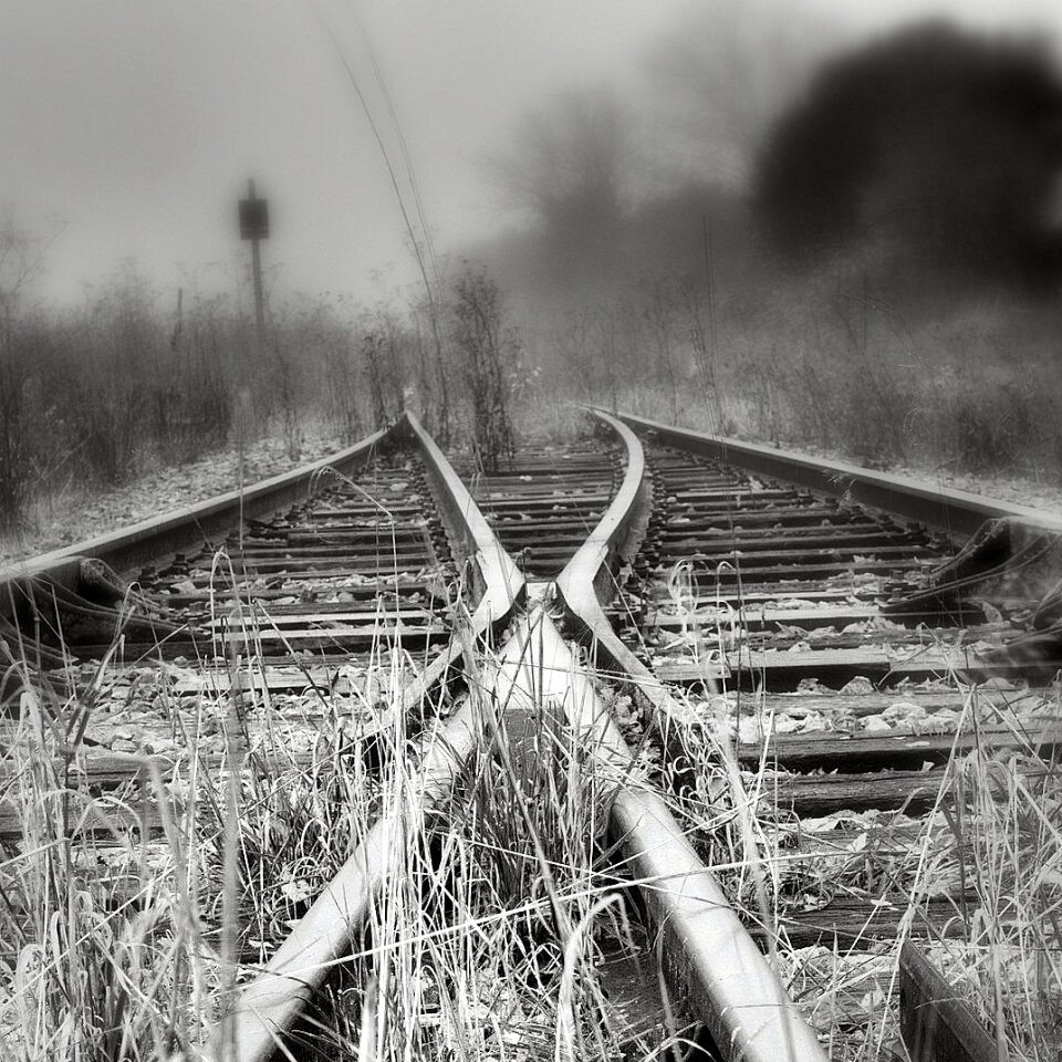 Free stock photo from Flickr
