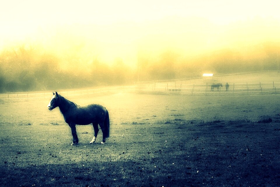 Free stock photo from Flickr