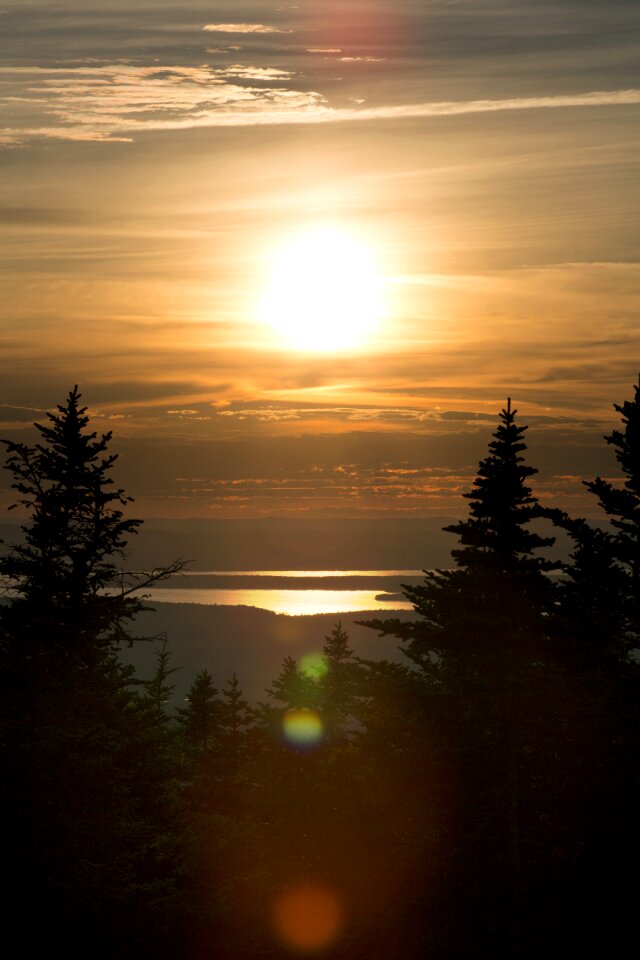 Silhouette of Trees Near Body of Water during Dawn