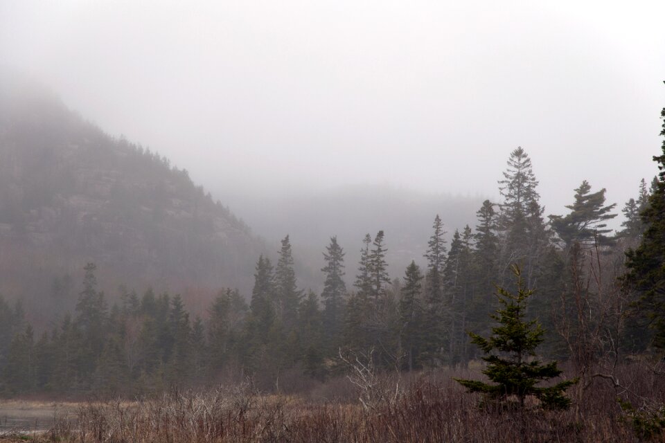 Free stock photo of fog, landscape, mountains