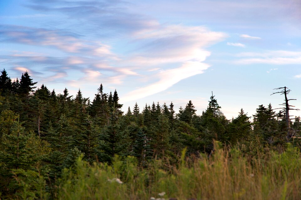 Free stock photo of clouds, landscape, nature