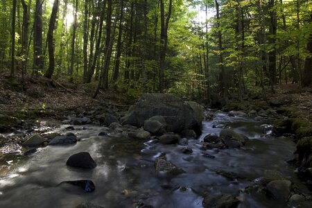 Free stock photo of nature, rocks, stream photo