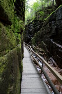 Free stock photo of nature, rocks, stream