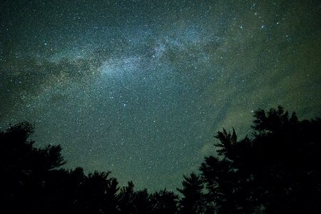 Starry Sky over Silhouette of Trees photo