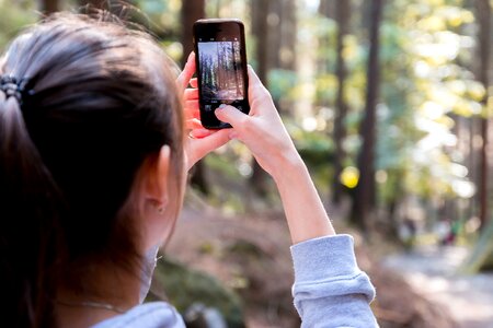 Woman Using Her Smartphone While Taking the Picture the Forest photo