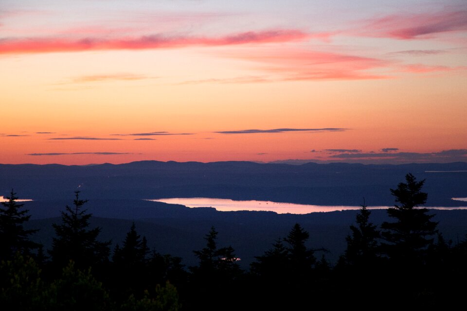 Silhouette of Pine Trees during Golden Hour photo