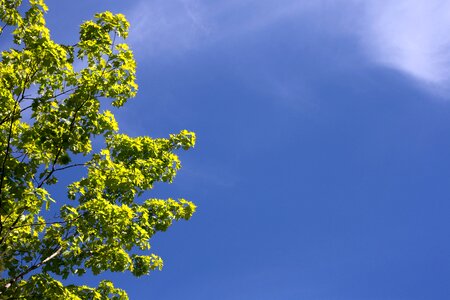 Free stock photo of clouds, nature, sky