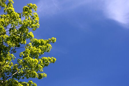 Free stock photo of clouds, nature, sky photo