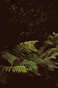 Free stock photo from Photo Collections