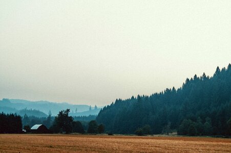 Free stock photo from Photo Collections