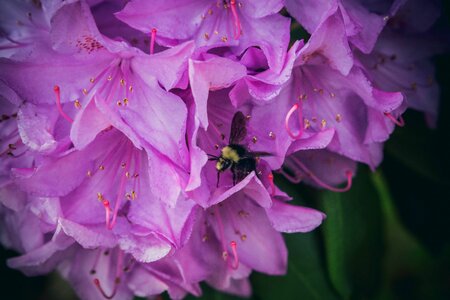 Free stock photo from Photo Collections
