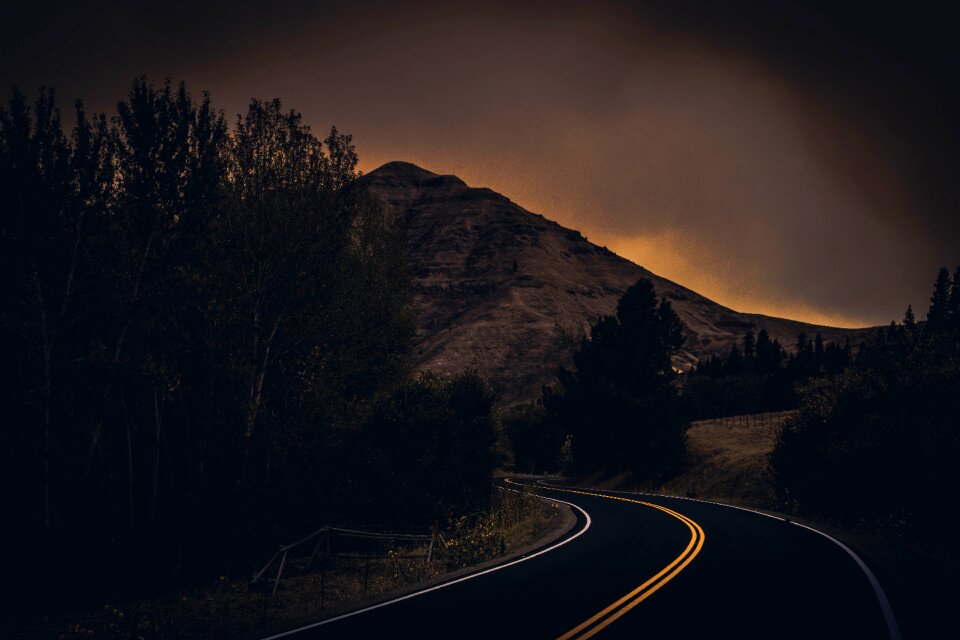 Black Road Between Green Trees