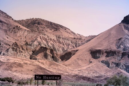 Free stock photo from Photo Collections