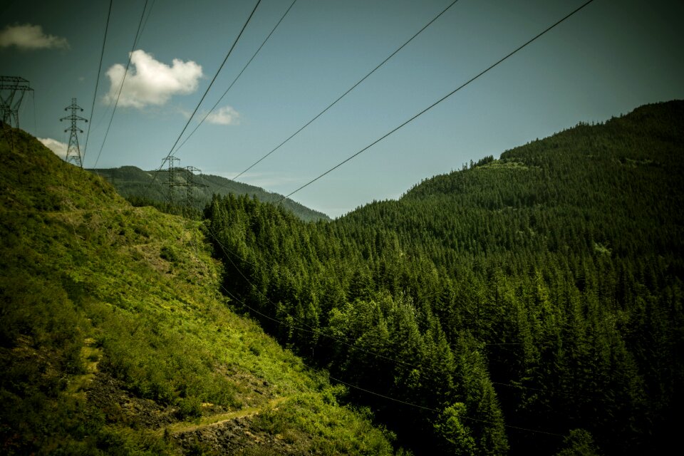 Free stock photo from Photo Collections