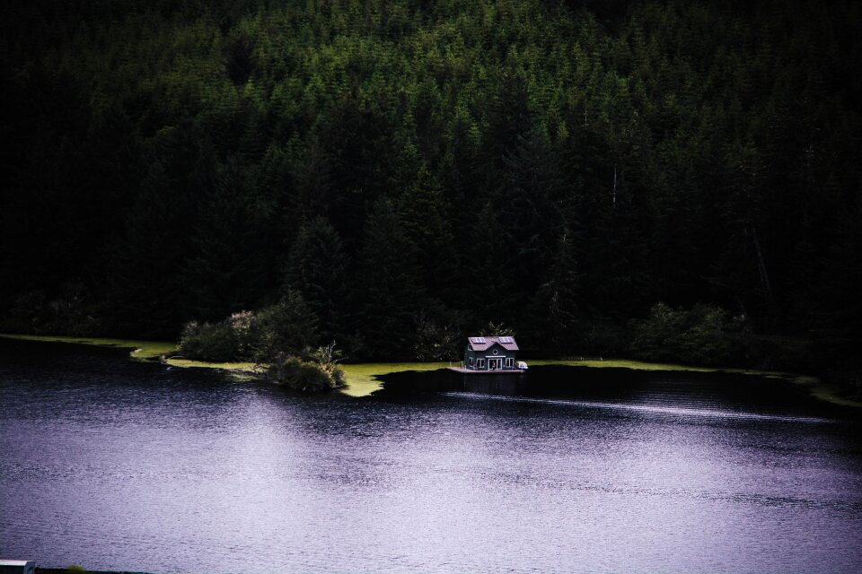 Cabin Near Pine Trees and Surrounded by Water